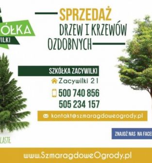 Drzewa i krzewy ozdobne, kamień ogrodowy oraz kora sosnowa