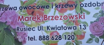 Drzewa i krzewy owocowe