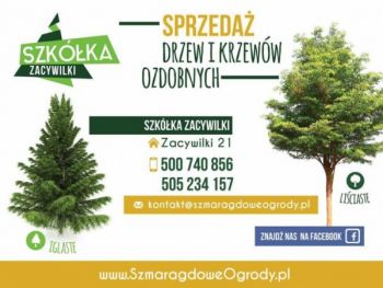 Drzewa i krzewy ozdobne, kamień ogrodowy oraz kora sosnowa