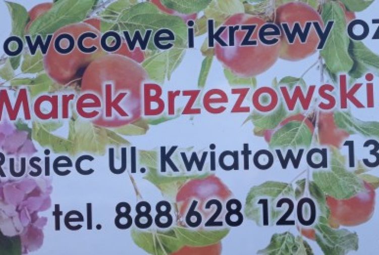 Drzewa i krzewy owocowe